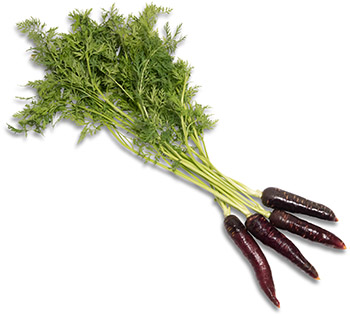 beta sweet maroon carrots