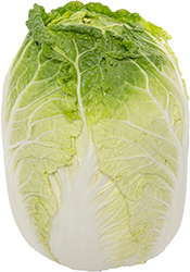 cabbage