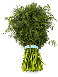 dill