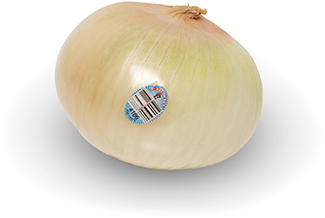 honeysweet onions