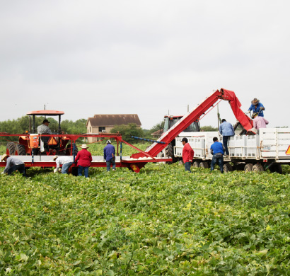 workers on a farm