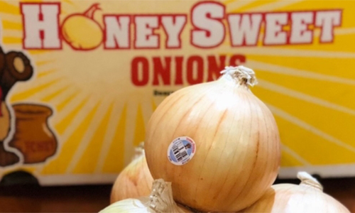 Honey Sweet onions